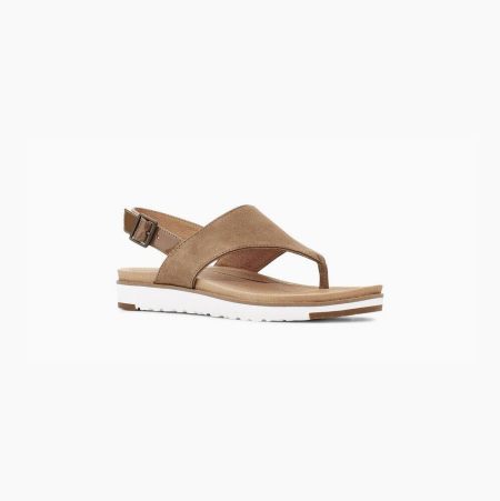 UGG Alessia Suede coffee Sandals for Women (XSDY12943)